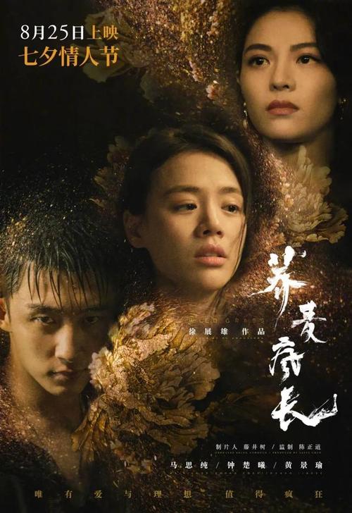 思想政治教育专业学位证书